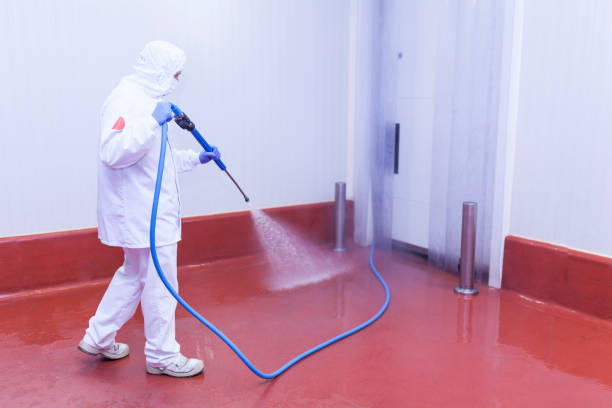 Best Playground Equipment Cleaning  in Trenton, NJ