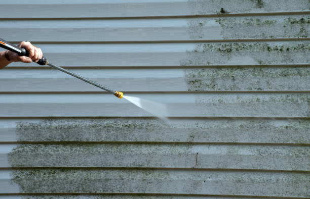 Best Solar Panel Cleaning  in Trenton, NJ